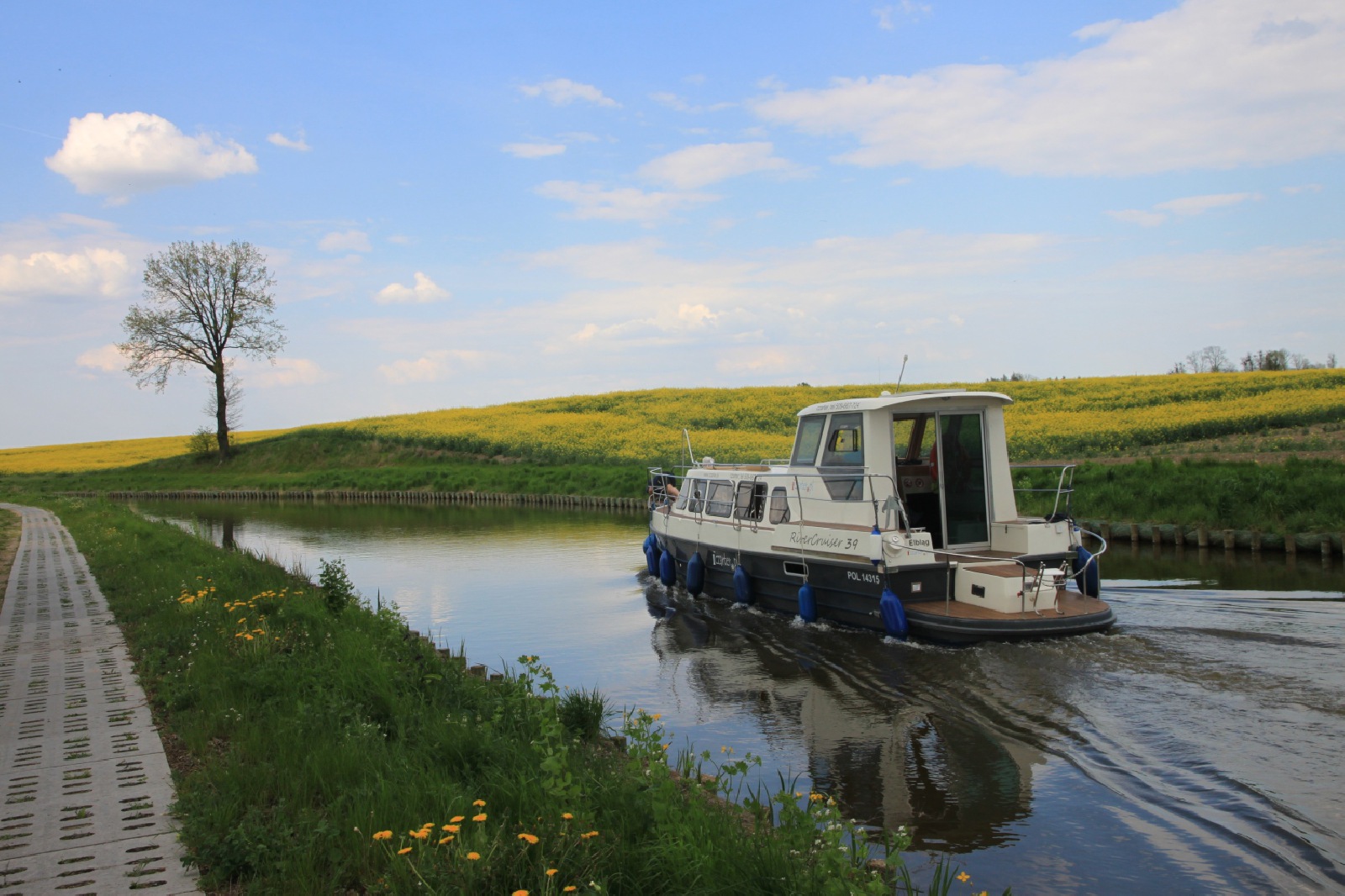 River Cruiser 39