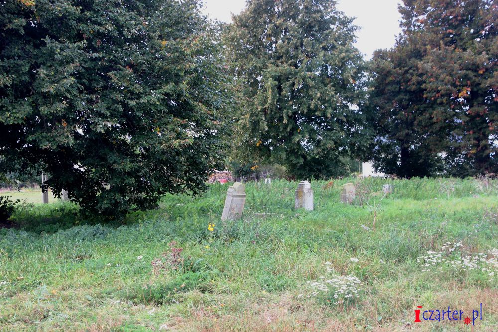Cmentarz mennonicki w Niedźwiedzówce